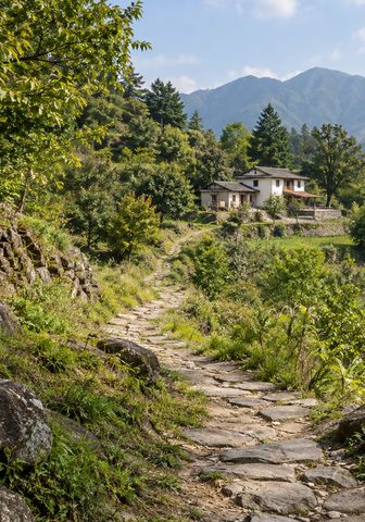 要专门远行的山路